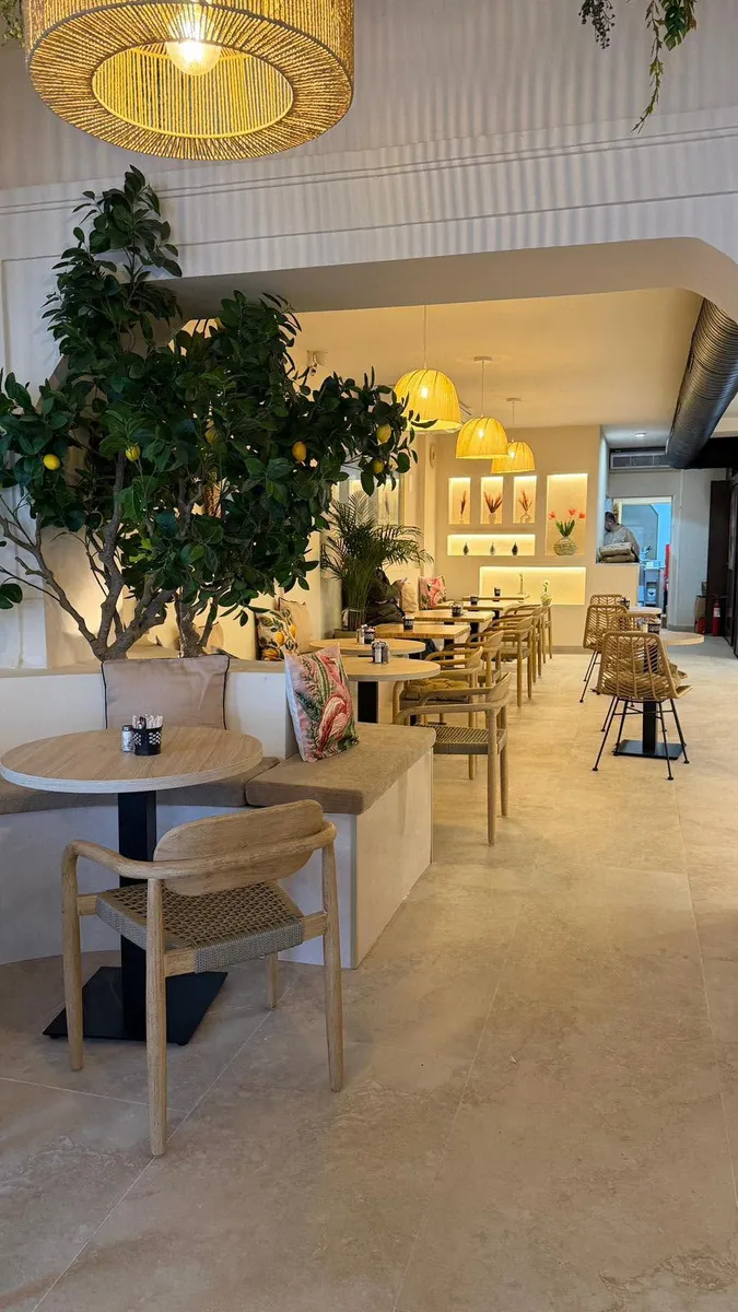 The Cafe III American Bistro dining room in Duquesa — a lemon tree in the corner beneath woven pendant lights